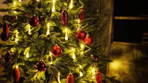 Школам Забайкалья рекомендуют отмечать Новый год в кабинетах