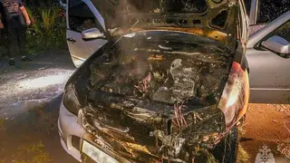 Пожарные в Омской области с начала года потушили больше сотни горящих автомобилей