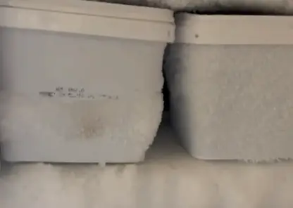 В Красноярске из ночного клуба на свалку унесли 90 кг просрочки