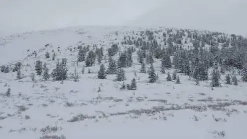 Зима в начале сентября: первый снег пришел в Тыву, Республику Алтай и Новосибирскую область