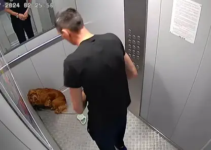 «Она забитая сидит в клетке»: в красноярском Солнечном живодер избил свою собаку в лифте и выбросил кота с девятого этажа (видео)