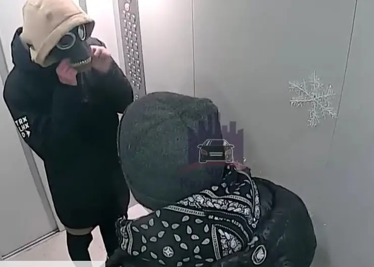 В Красноярске парень в противогазе украл ёлку