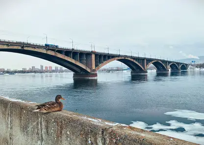 Красноярские экскурсоводы выпустили гид «Дневник знакомства с городом К»