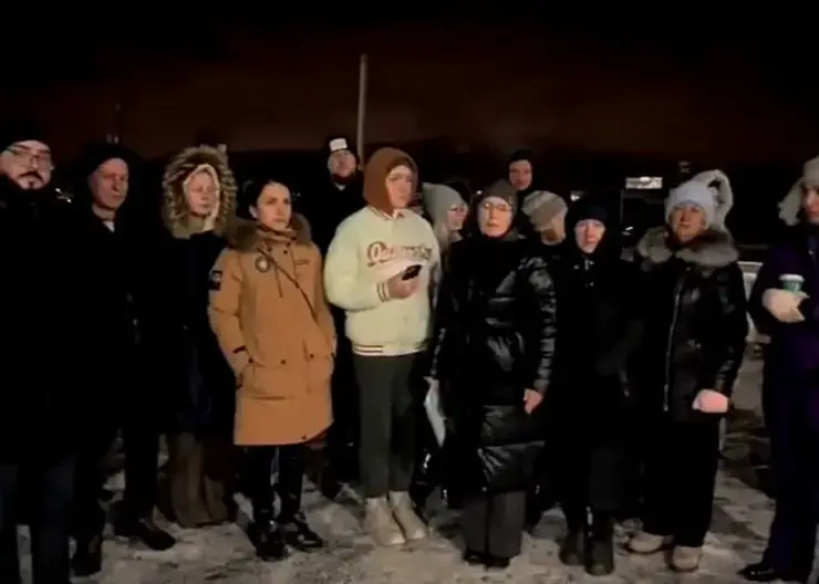 Жители деревни Кузнецово пожаловались главе СК Бастрыкину на нападения бродячих собак