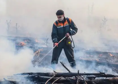 В Эвенкийском районе горят 328 гектаров леса