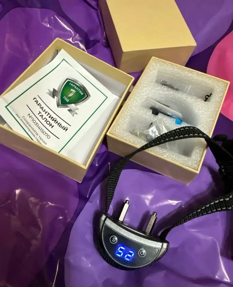 Фото: sibnovosti.ru