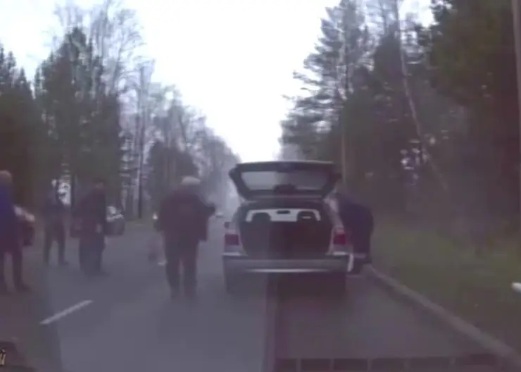 В Зеленогорске автоинспекторы помогли потушить автомобиль
