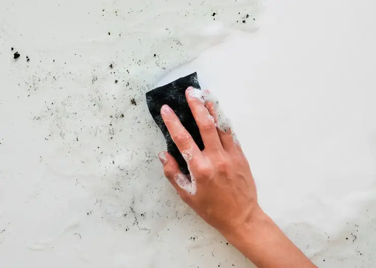 Красноярцам рассказали, как предотвратить появление плесени