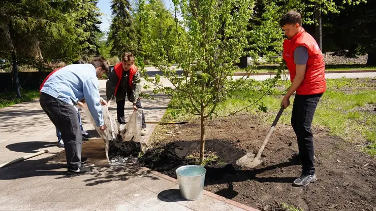 В Центральном парке Красноярска высадили 34 яблони в честь ветеранов Великой Отечественной войны