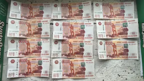 В Красноярске двое мужчин покупали технику за фальшивые деньги
