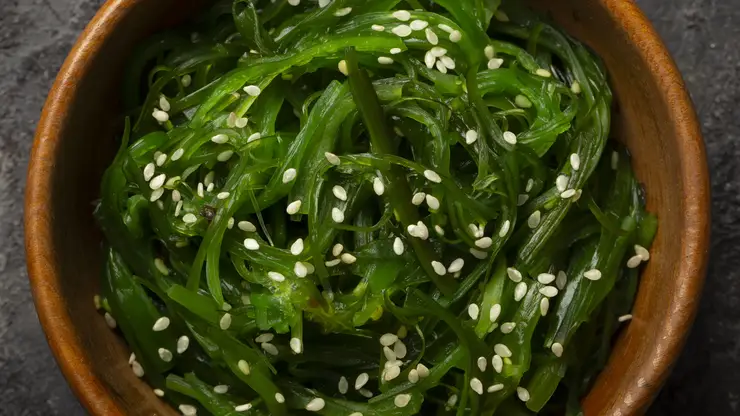 Морская капуста – кладезь йода и здоровья: удивительные свойства ламинарии