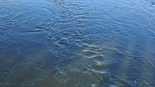 В Роспотребнадзоре красноярцам рекомендуют кипятить воду из-за помутнения Енисея