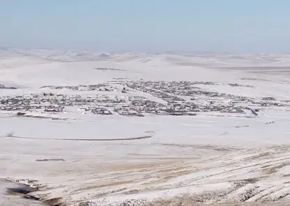 В Забайкалье введен режим ЧС из-за вспышки пастереллёза у скота