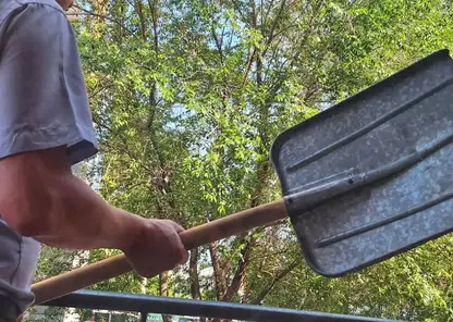 Новосибирца отправили в колонию за избиение водителя квадроцикла лопатой