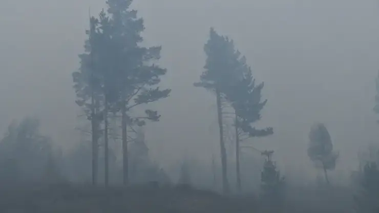 Режим чрезвычайной пожарной опасности ввели в нескольких районах Забайкалья