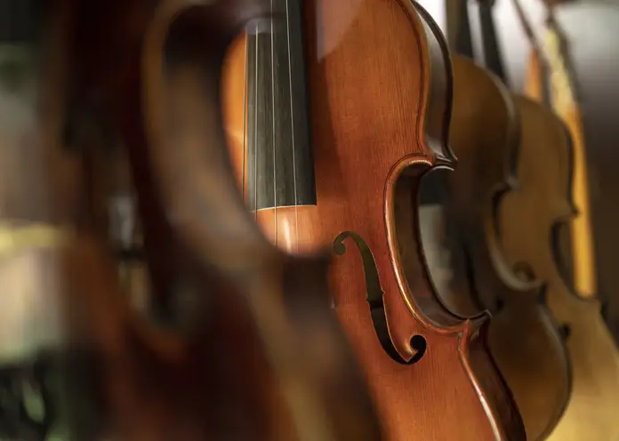 Определены первые победители III Межрегионального открытого конкурса исполнителей на струнно-смычковых инструментах имени В.Я. Шпета