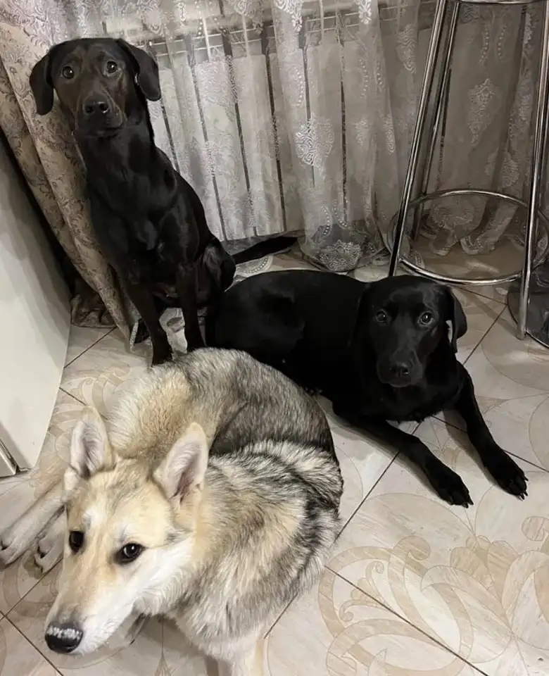 Фото: sibnovosti.ru