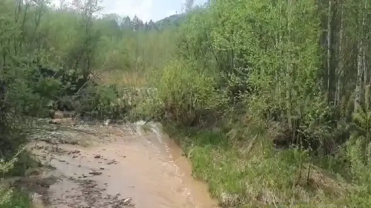 Золотодобывающую компанию оштрафовали в Красноярском крае за загрязнение реки