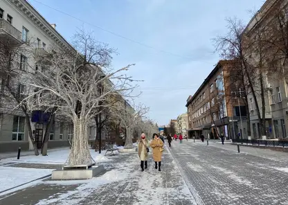 Красноярцев ждет снежная и морозная рабочая неделя