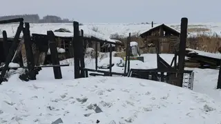 Женщина в Красноярском крае фиктивно зарегистрировала мигрантов в сгоревшем доме