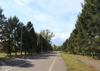 В Красноярске на острове Татышев заработал летний прокат