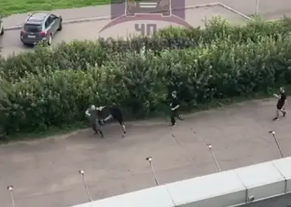 В Красноярске на 9 мая толпа неизвестных избила мужчину