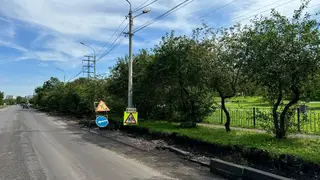 На правобережье Красноярска снесли 10 деревьев из-за переноса одной остановки