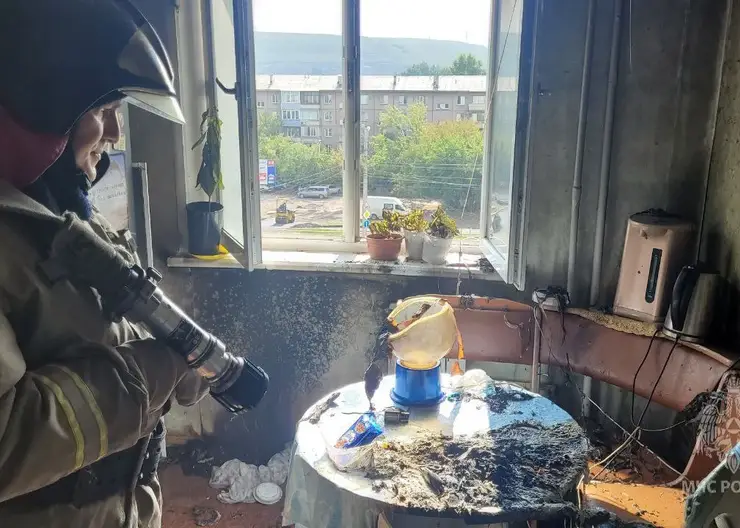 133 пожара ликвидировано в Красноярском крае за прошедшую неделю