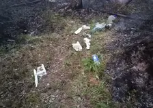 В Красноярском крае сборщики ягод едва не спалили лес
