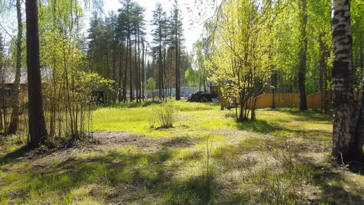 В Канске приставы заставили должника убрать с участка источник экологической катастрофы