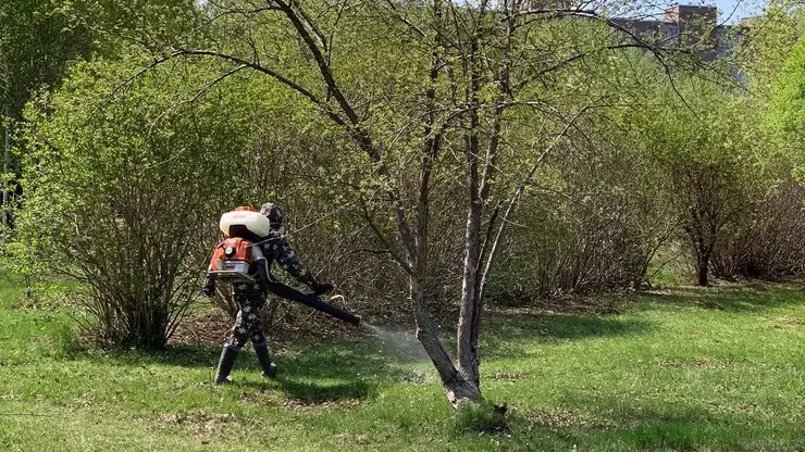 В Красноярске начинается обработка парков, скверов и набережных от клещей