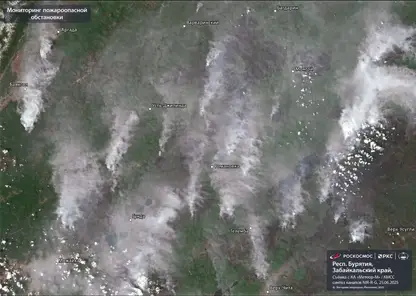 Роскосмос показал сделанный из космоса снимок пожаров в Бурятии и Забайкалье