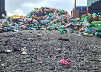 Раздельный сбор мусора в Томской области отложен до запуска нового комплекса сортировки