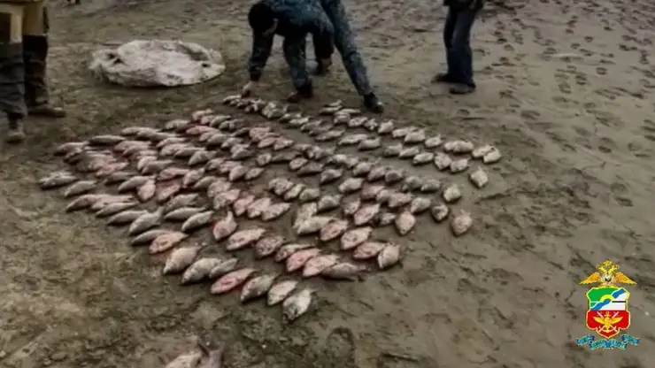 На Красноярском море поймали двух браконьеров