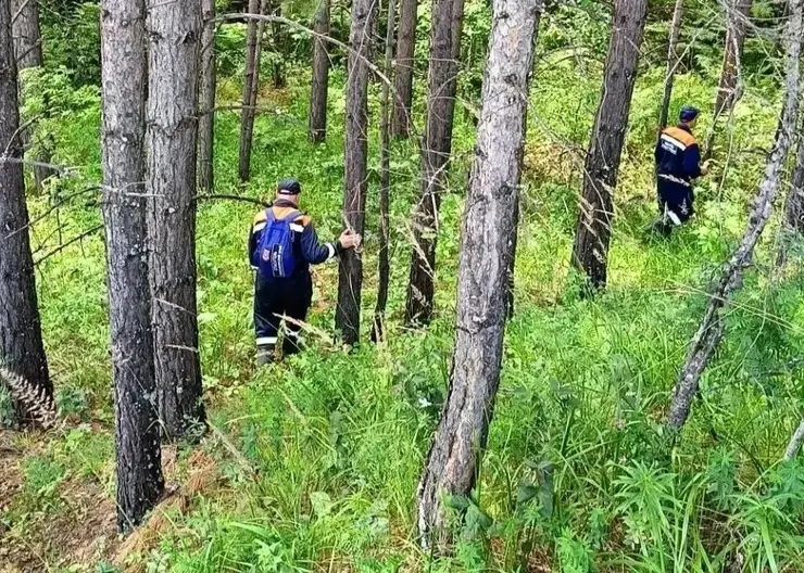 Две женщины заблудились в лесах под Красноярском в субботу