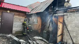 12 пожаров потушили в Красноярском крае за сутки