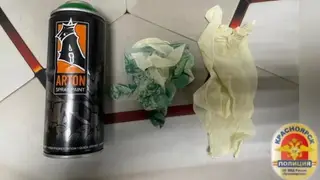 Двое красноярцев наносили на стены домов рекламу наркотиков с Лабубу