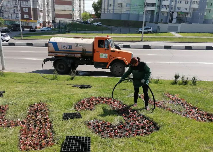 Красноярцам рассказали об уходе за высаженными деревьями и кустарниками