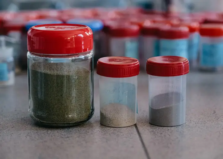 Красноярские ученые нашли способ переработки радиации с помощью золы