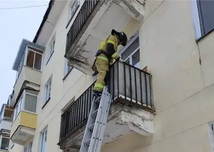 Случайно захлопнули дверь. В Железногорске пожарные спасли запертых детей