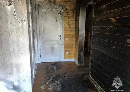 В Томской области при пожаре пострадали два человека