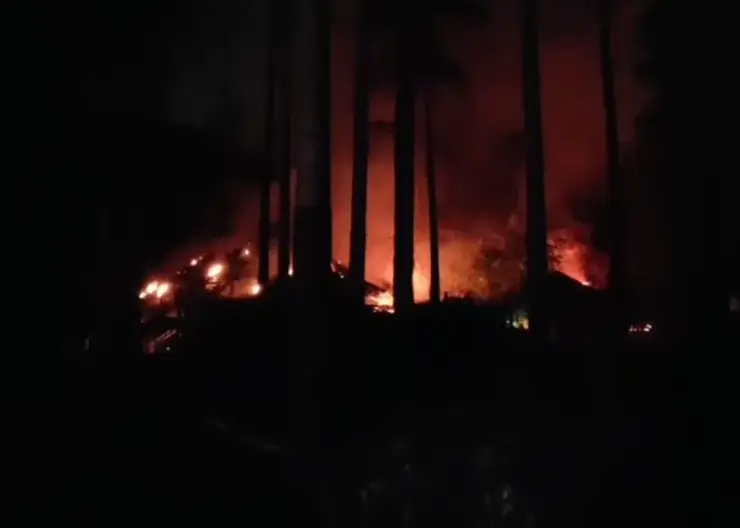 Пожар произошел в зоопарке Новосибирска: 5 животных погибли