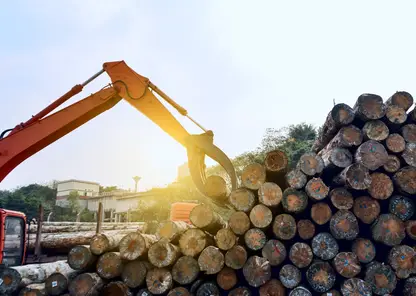 Объем вывоза лесопродукции из Красноярского края вырос в 1,6 раза