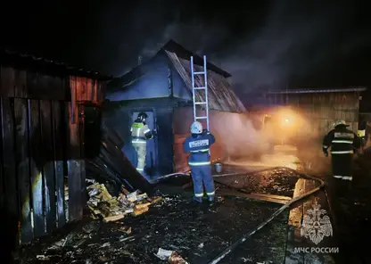 Десять пожаров ликвидировали в Красноярском крае за сутки