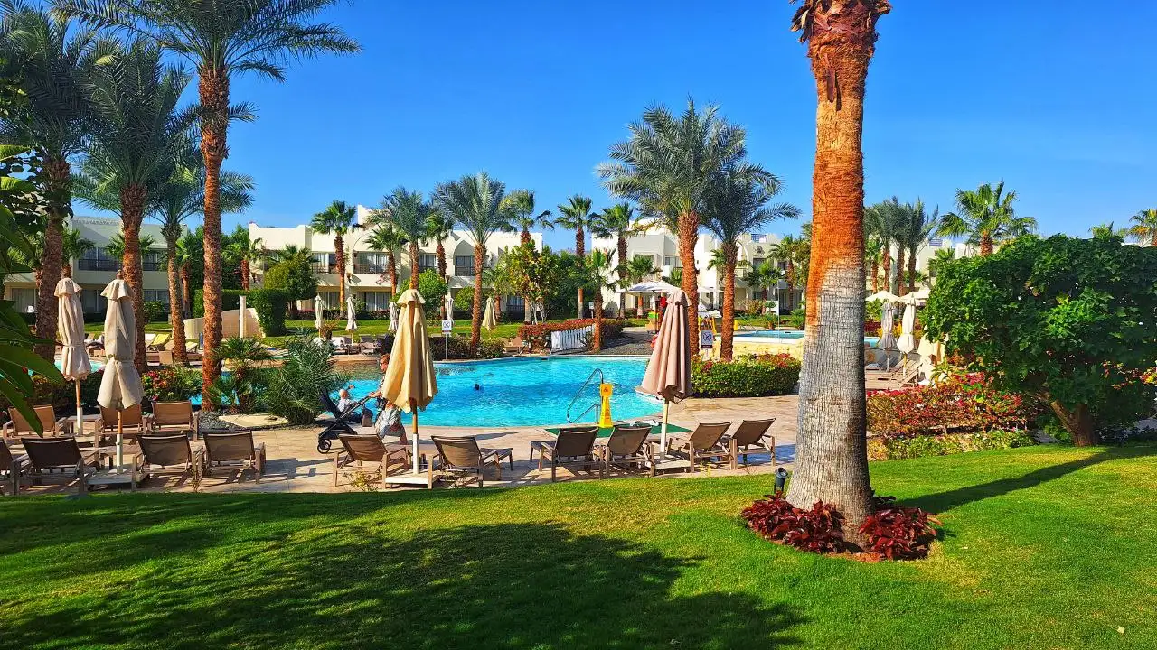 Фото: sibnovosti.ru