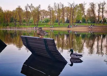 В Красноярске потеплеет до +22 градусов уже завтра
