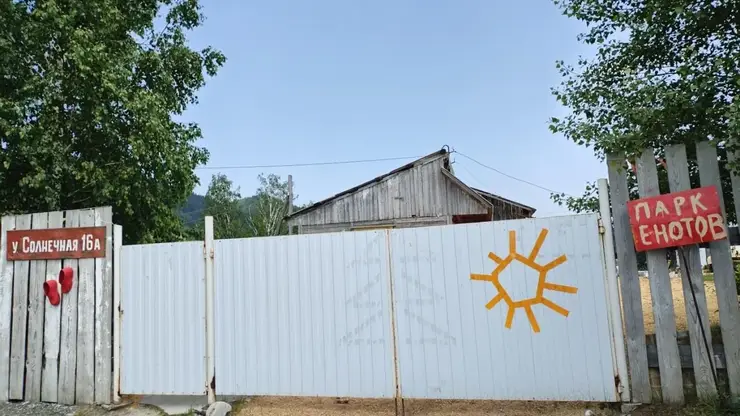 «Дом енотов» в Красноярском крае оштрафован за плохое обращение с животными