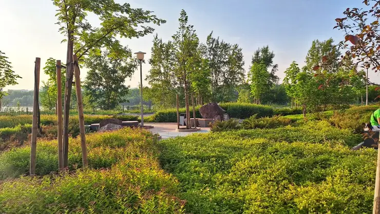 Красноярцев в пятницу ждет 36-градусное пекло