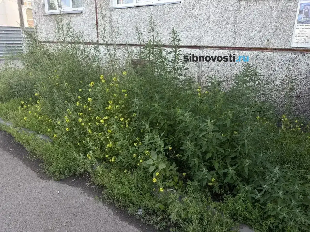 Фото: sibnovosti.ru