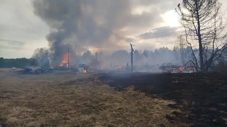 Пожар, уничтоживший деревню в крае, спровоцировал местный житель